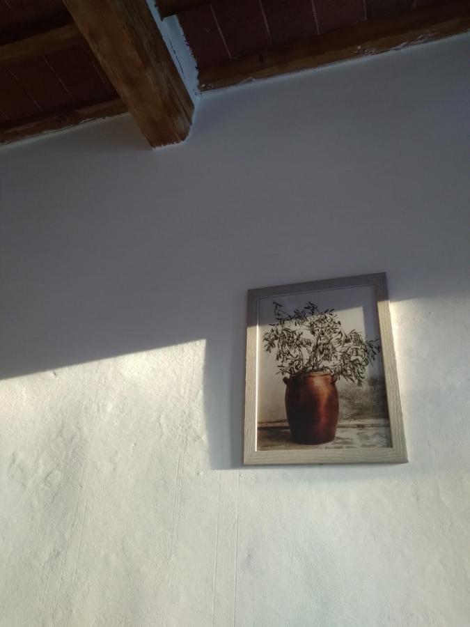 Lotte'S Guesthouse Livorno Kültér fotó